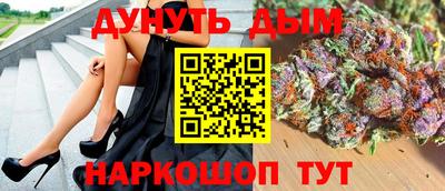 сатива Моздок