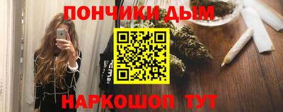 сатива Моздок