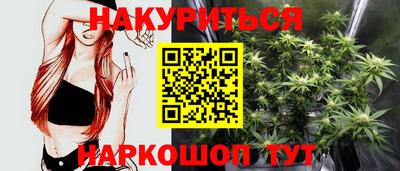 сатива Моздок