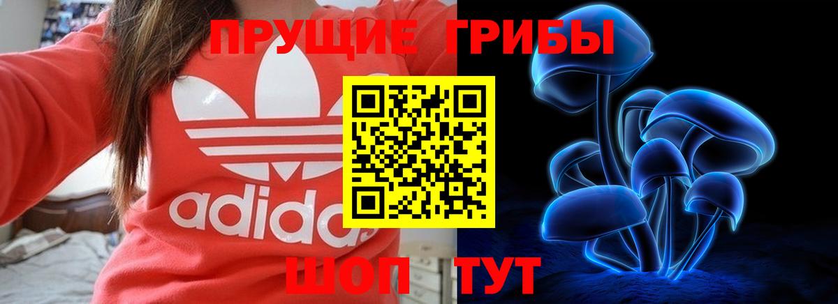 Галлюциногенные грибы Cubensis Кольчугино