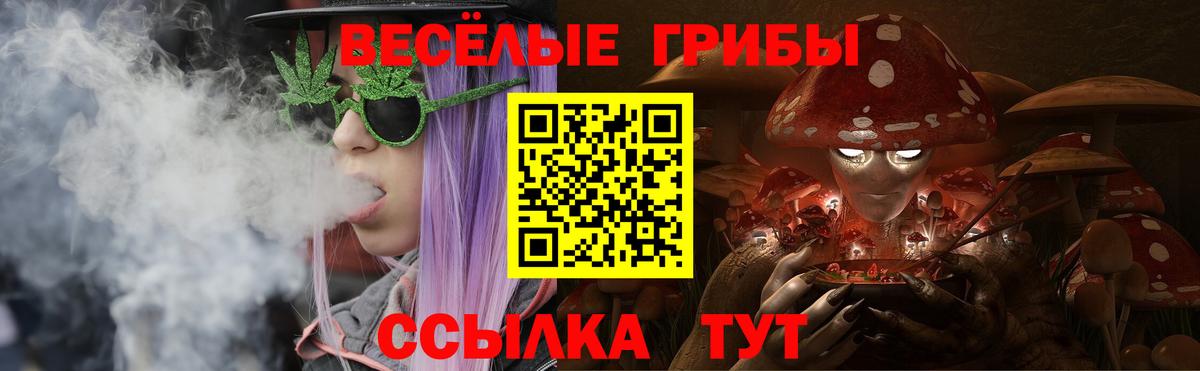 Кольчугино  Галлюциногенные грибы Magic Shrooms  Вход с VPN 